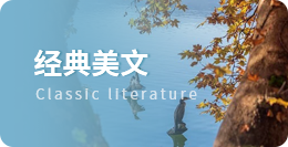 實習生個人轉正述職報告3篇